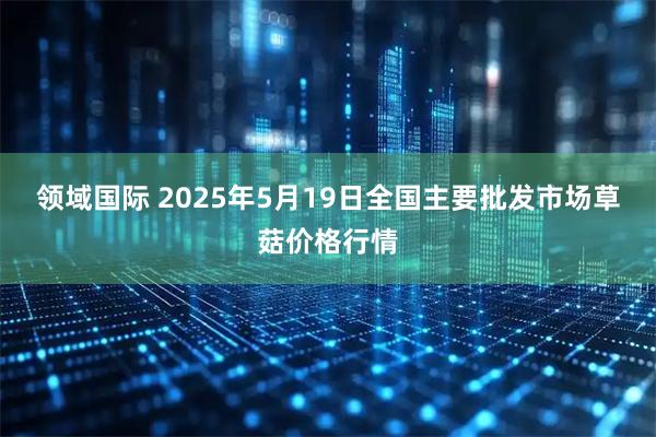 领域国际 2025年5月19日全国主要批发市场草菇价格行情