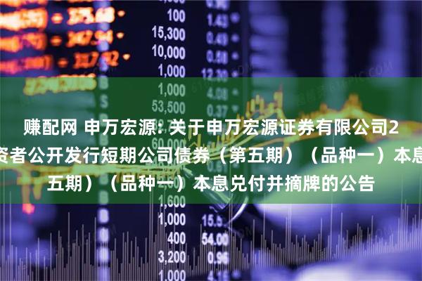 赚配网 申万宏源: 关于申万宏源证券有限公司2024年面向专业投资者公开发行短期公司债券（第五期）（品种一）本息兑付并摘牌的公告