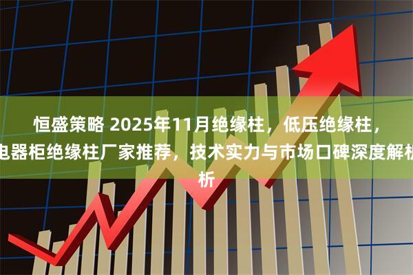 恒盛策略 2025年11月绝缘柱，低压绝缘柱，电器柜绝缘柱厂家推荐，技术实力与市场口碑深度解析