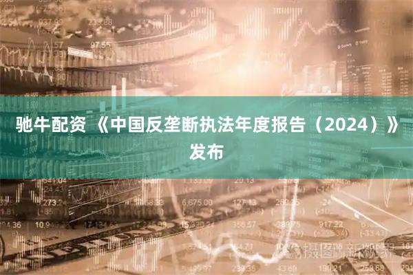 驰牛配资 《中国反垄断执法年度报告（2024）》发布