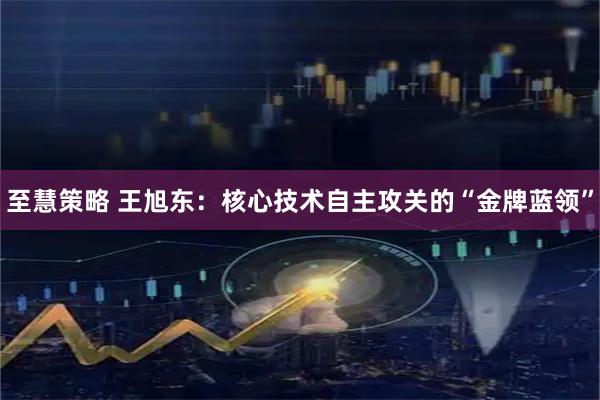 至慧策略 王旭东：核心技术自主攻关的“金牌蓝领”